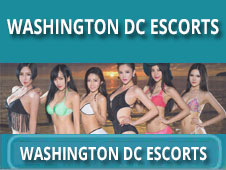 Washington DC Escorts